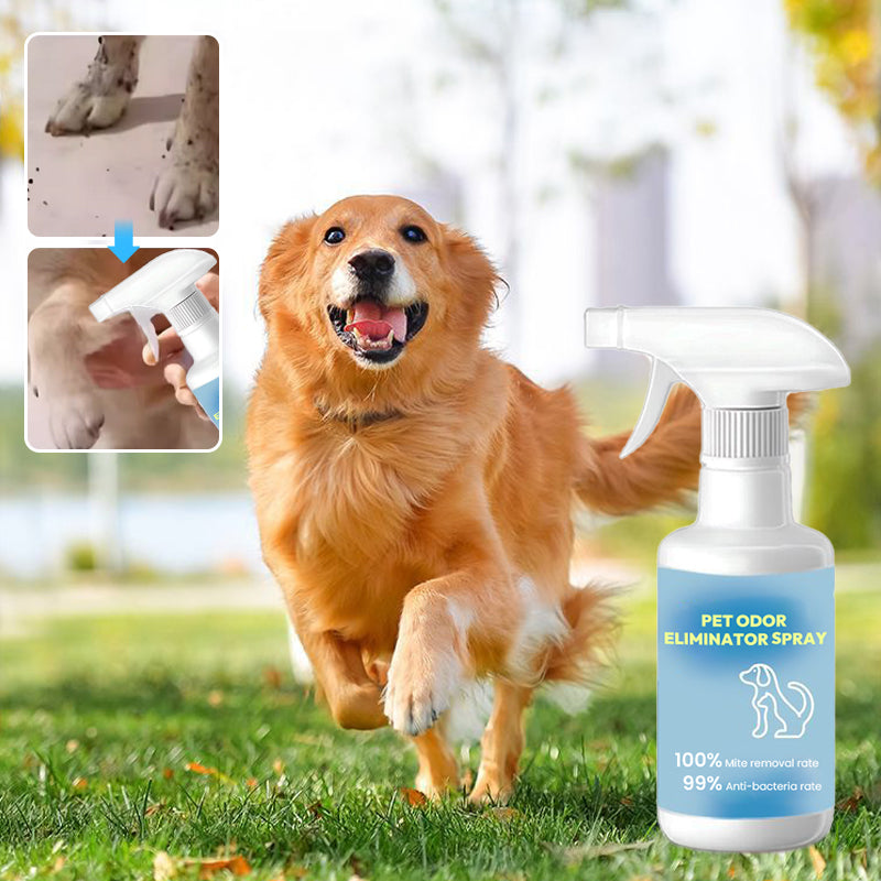 Pet odor remover spray