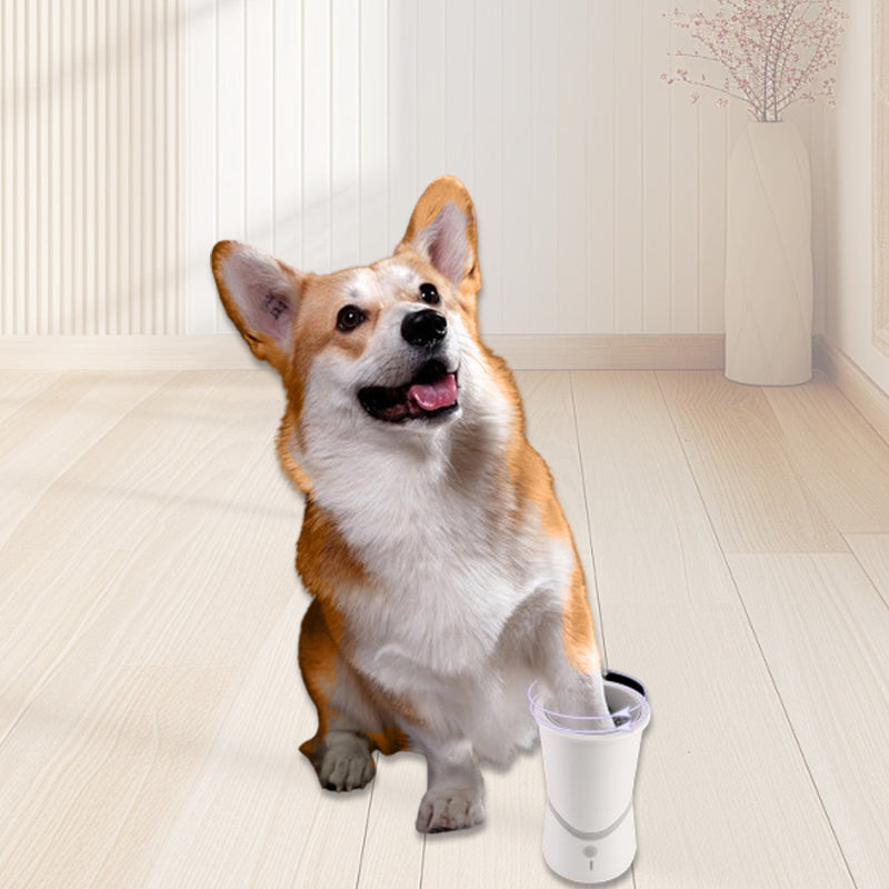 Smart Rotating Pet Paw Brush Now -50%