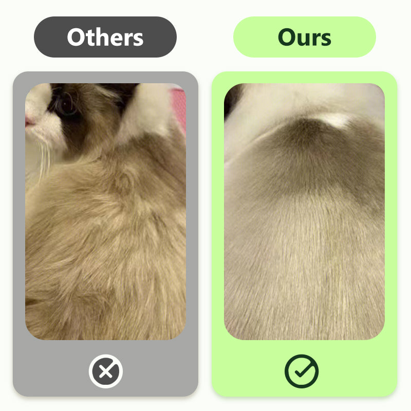 Lingettes nettoyantes sans rinçage pour animaux de compagnie