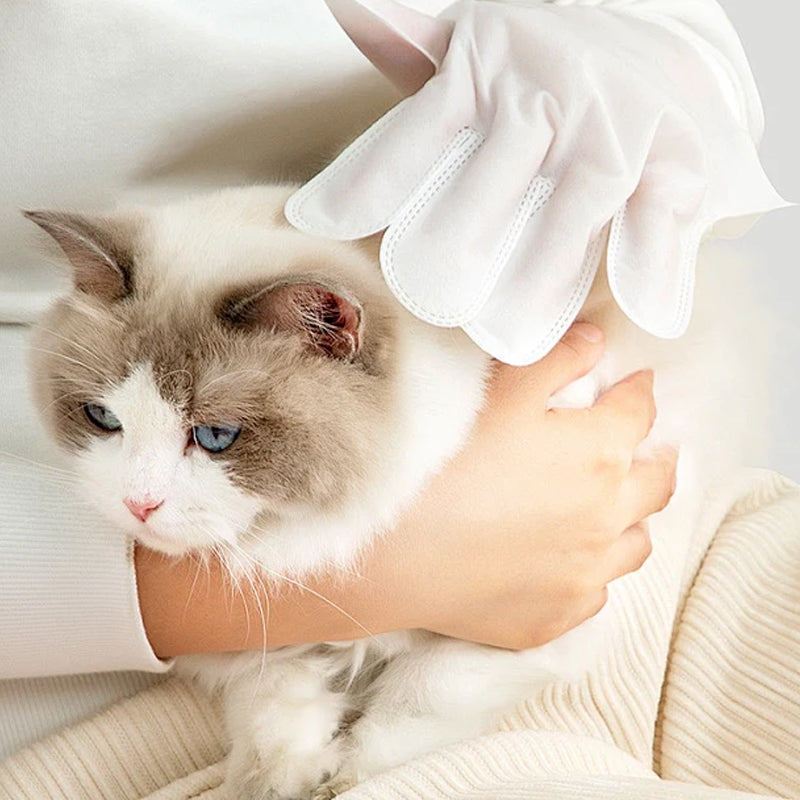 Lingettes nettoyantes sans rinçage pour animaux de compagnie