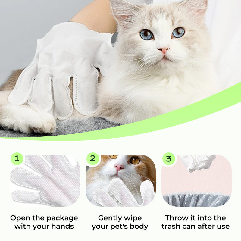 Lingettes nettoyantes sans rinçage pour animaux de compagnie