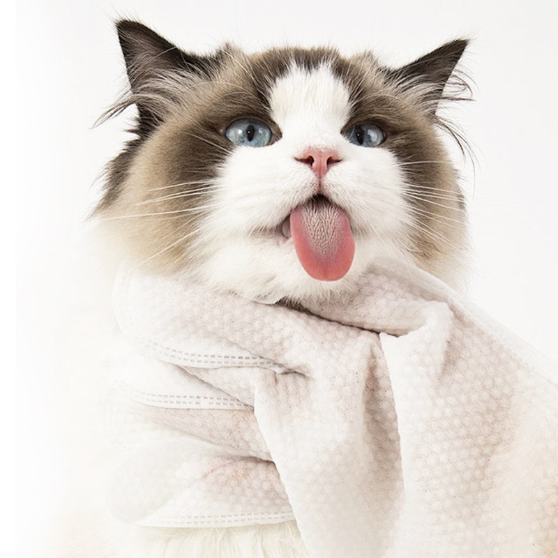 Lingettes nettoyantes sans rinçage pour animaux de compagnie