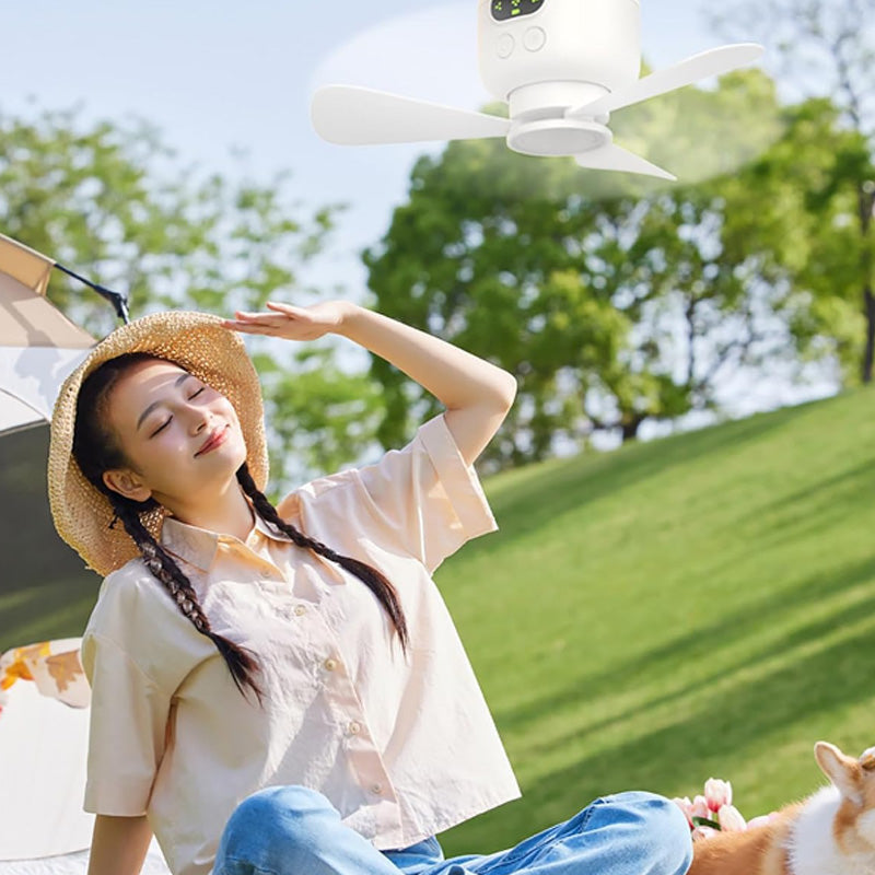 DE RÉDUCTION Ventilateur de plafond rechargeable avec éclairage LED