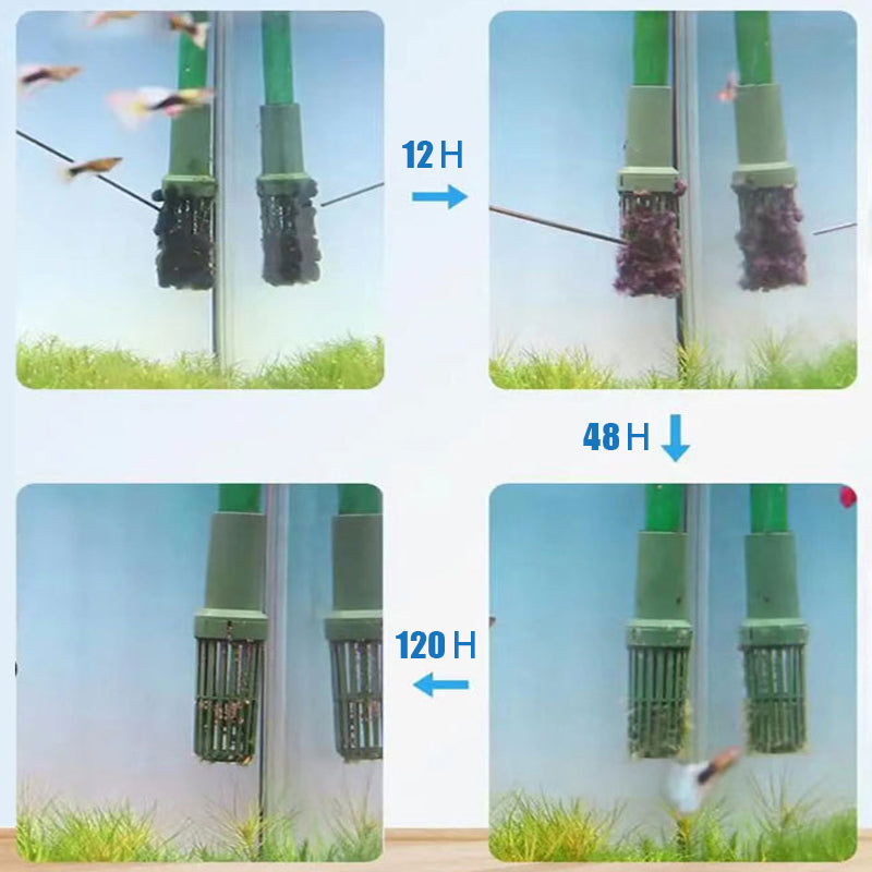 Algicide efficace pour aquarium
