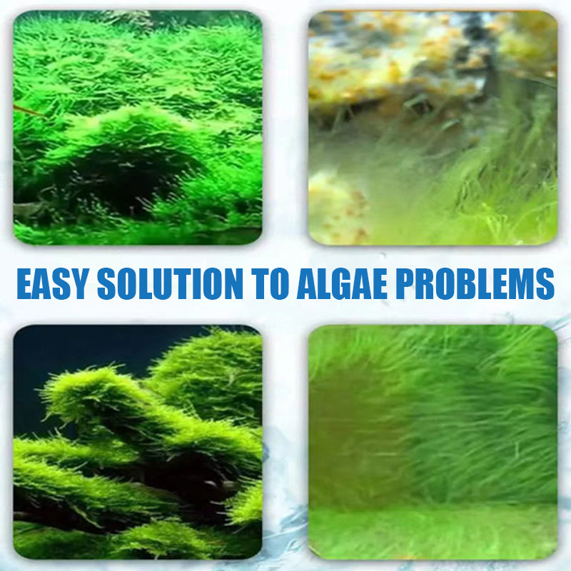 Algicide efficace pour aquarium