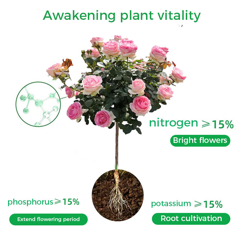Poudre de racine et floraison rapide (50 % de réduction)