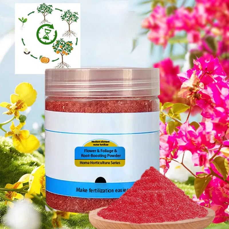 Poudre de racine et floraison rapide (50 % de réduction)