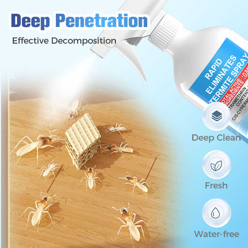 Rapid Élimine les termites en spray avec seringue d'application pour toute la maison