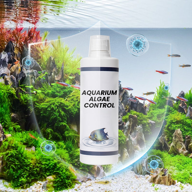 Achetez-en 3, obtenez-en 2 gratuits : clarificateur d'eau puissant pour aquarium