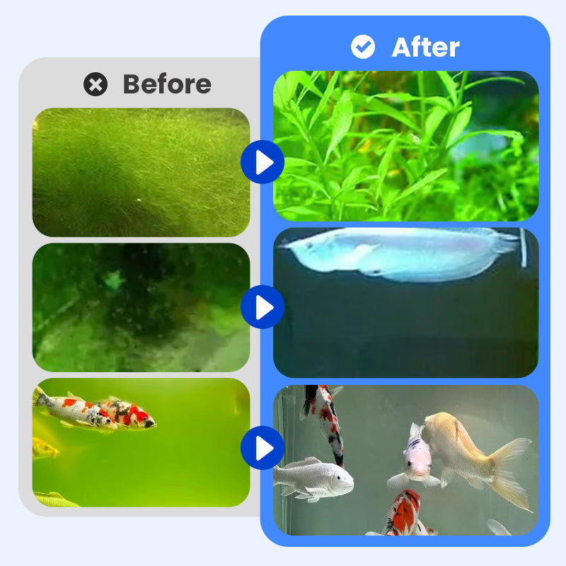 Achetez-en 3, obtenez-en 2 gratuits : clarificateur d'eau puissant pour aquarium
