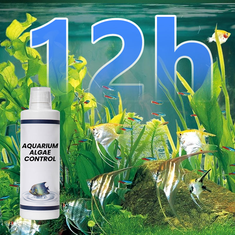 Achetez-en 3, obtenez-en 2 gratuits : clarificateur d'eau puissant pour aquarium