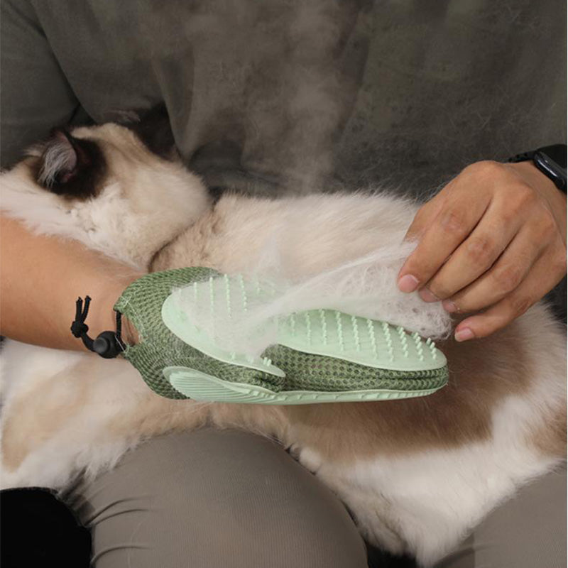 Gants de toilettage pour chiens et chats avec spray intégré