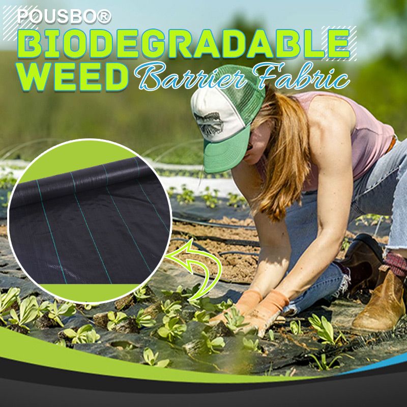 Nouveauté 2025 : Toile anti-mauvaises herbes biodégradable