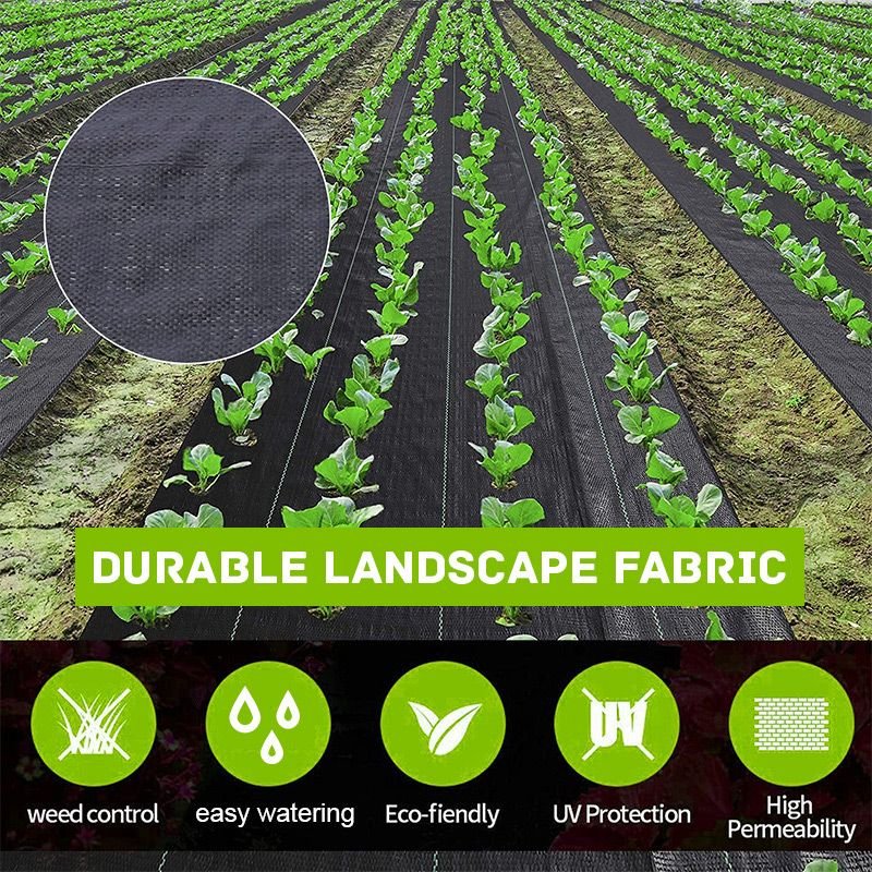 Nouveauté 2025 : Toile anti-mauvaises herbes biodégradable