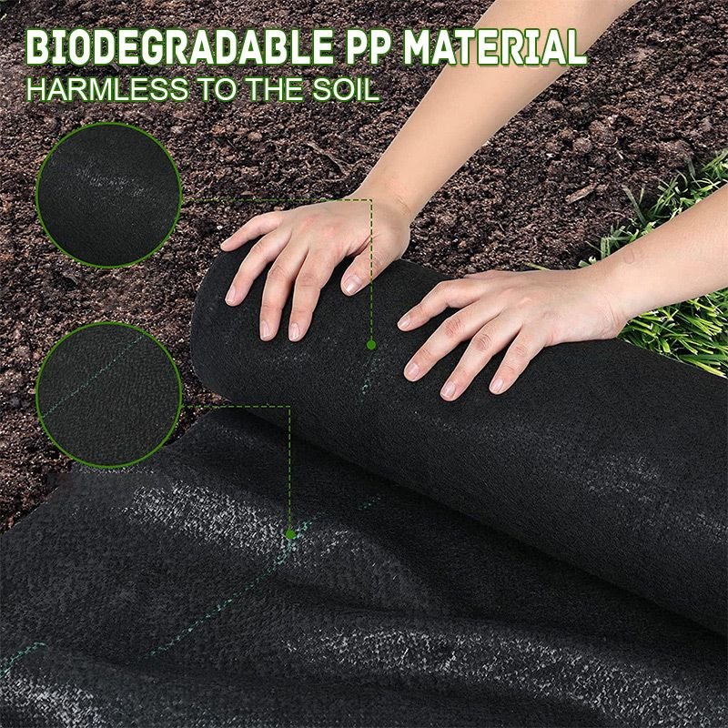 Nouveauté 2025 : Toile anti-mauvaises herbes biodégradable