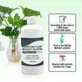 Solution nutritive pour plantes hydroponiques