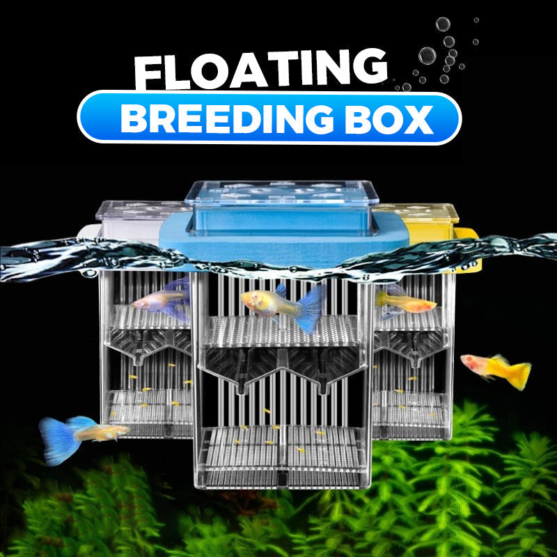 Clair Half-price 4-layer Acrylic Aquarium Hatchery Breeding Box System to Safely Raise Your Fry