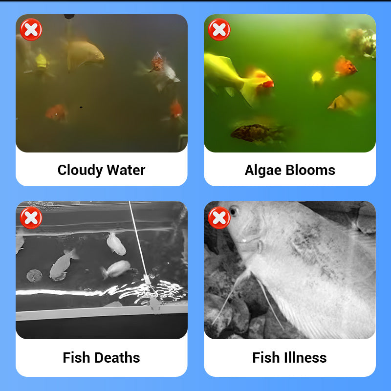Clair Half-price 4-layer Acrylic Aquarium Hatchery Breeding Box System to Safely Raise Your Fry