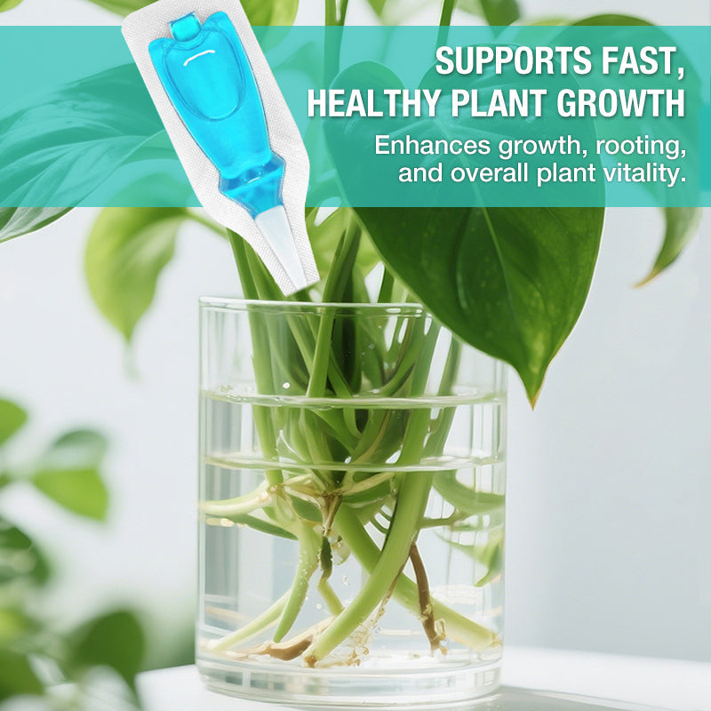Hydroponic Nutrient Solution for Plant Growth