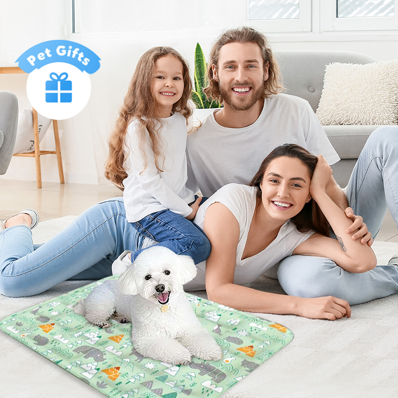 Tapis de refroidissement durable pour animaux de compagnie en forme de dessin animé