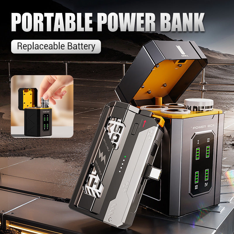 Power Bank Portable avec Batterie Remplaçable