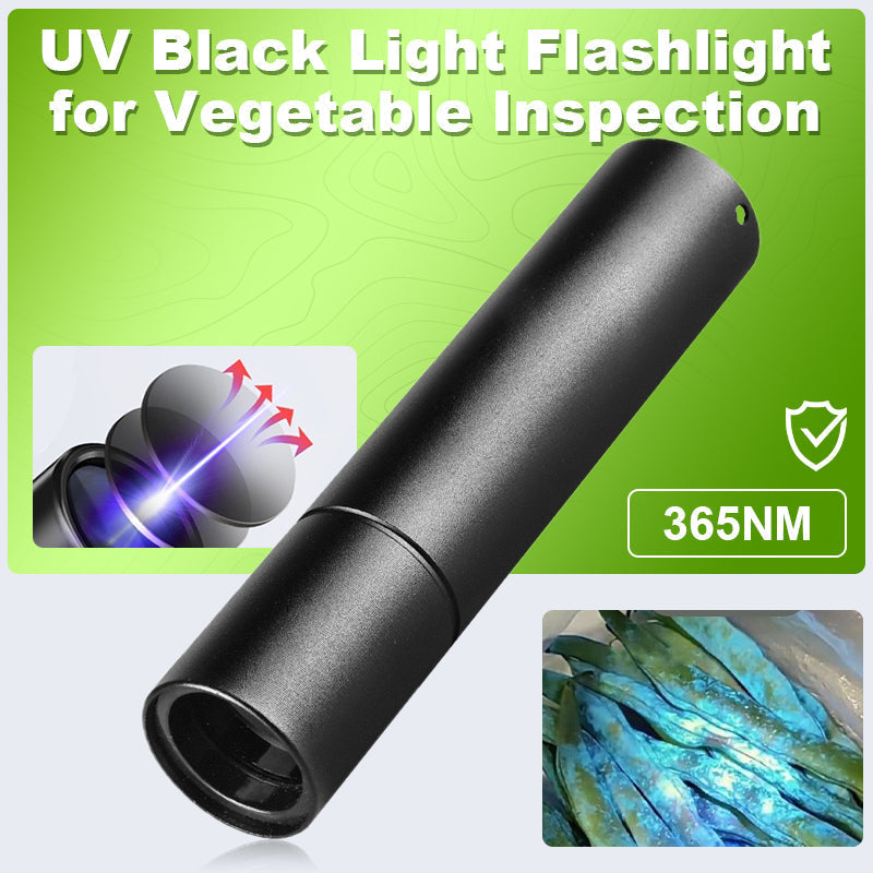 Lampe UV lumière noire pour inspection des légumes