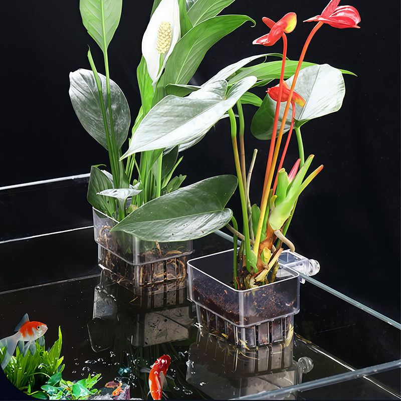 Hanging aquarium planter