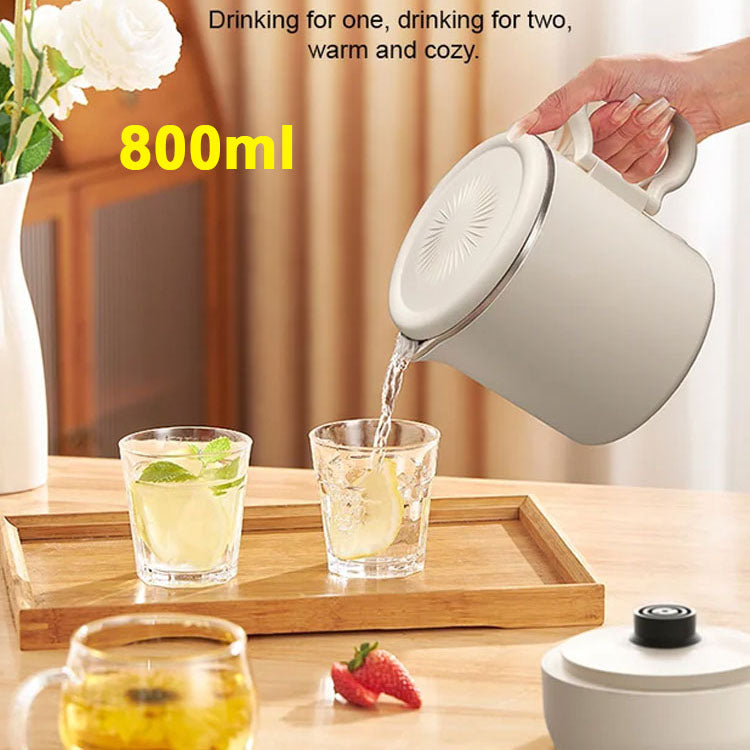 Offres Spéciales pour Noël : Bouilloire électrique pliable multifonctionnelle en acier inoxydable