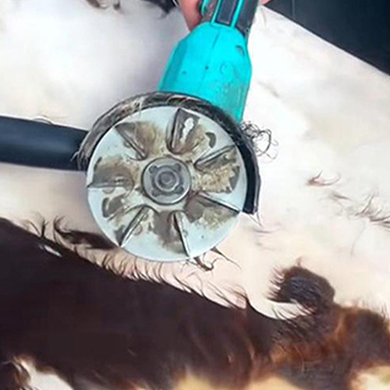 Pork dehairing disc for time-saving