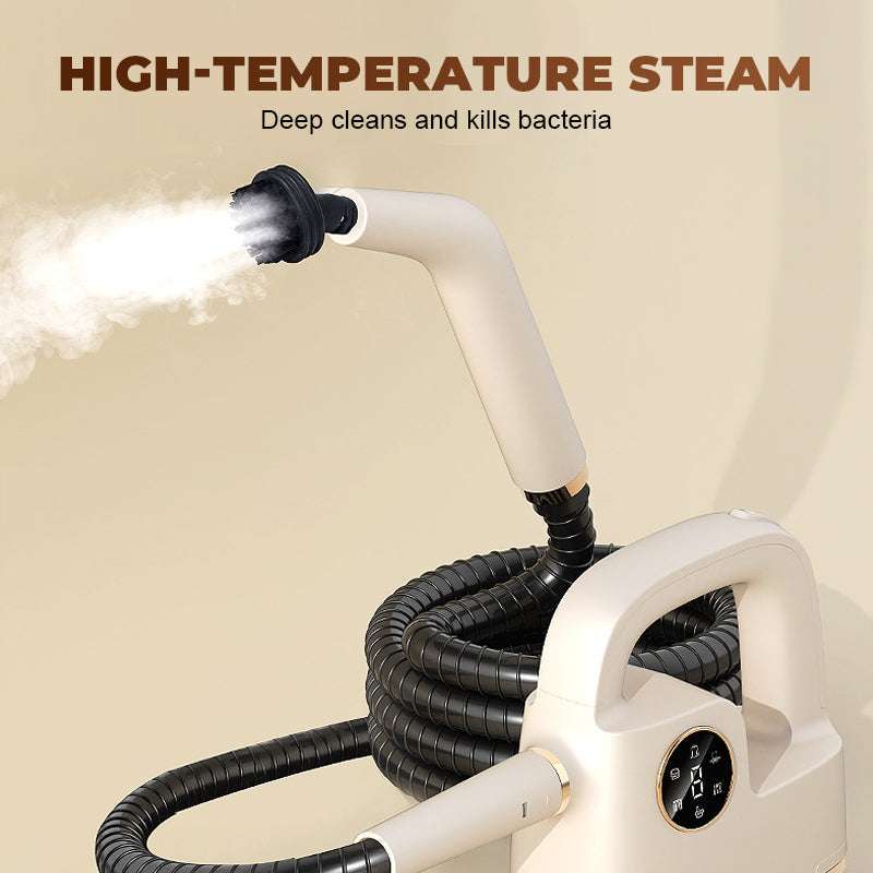 High Temperature Handheld Steam Cleaner Set