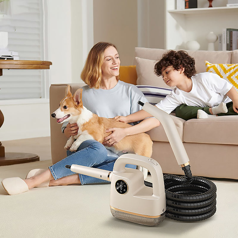 High Temperature Handheld Steam Cleaner Set