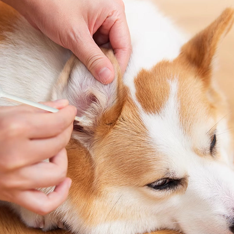 Pet cleaning wipes