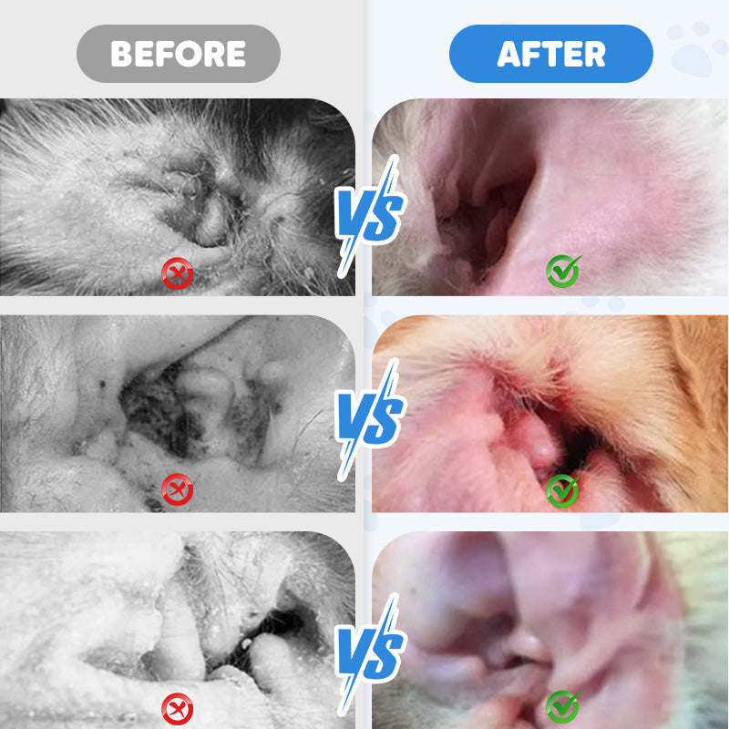 ACHETEZ-EN 2, OBTENEZ-EN 1 GRATUITEMENT Nettoyant pour oreilles pour animaux - Formule douce à l'aloe vera apaisant pour chiens et chats, prévient les infections et les odeurs