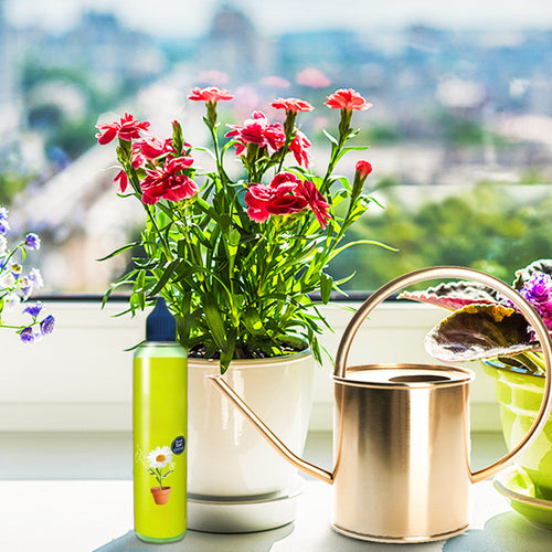2026 Nouveaux nutriments liquides pour plantes d'extérieur et d'intérieur
