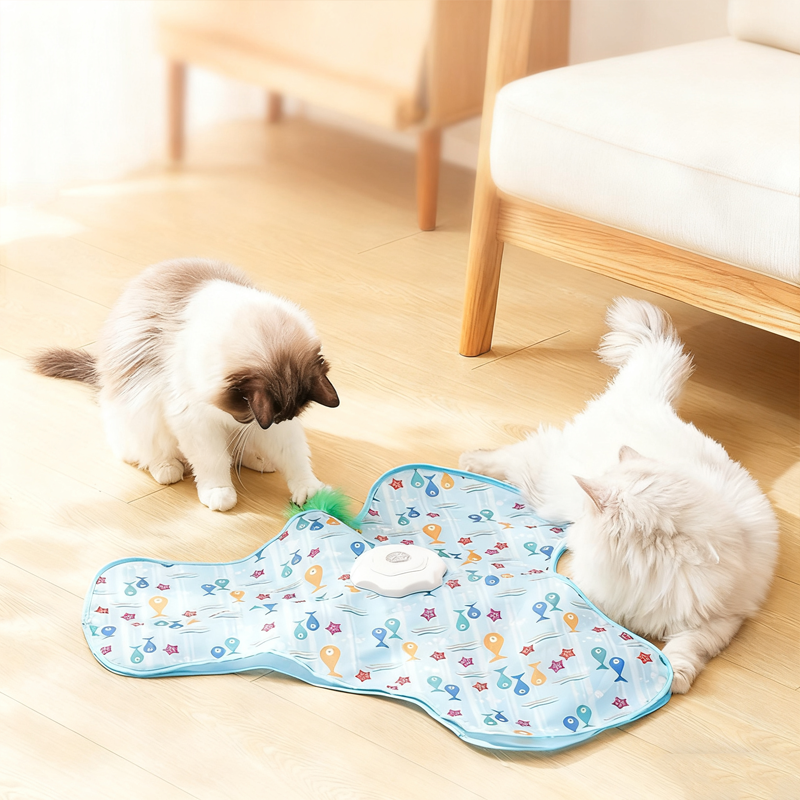 Économisez 30 dès maintenant à l'achat du jouet cache-cache 2 en 1 pour chat