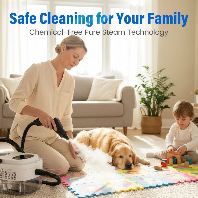 High-temperature multifunctional steam cleaner for home use