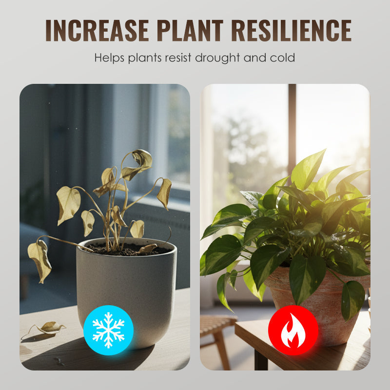 Universal root activator for plants and soil amendment
