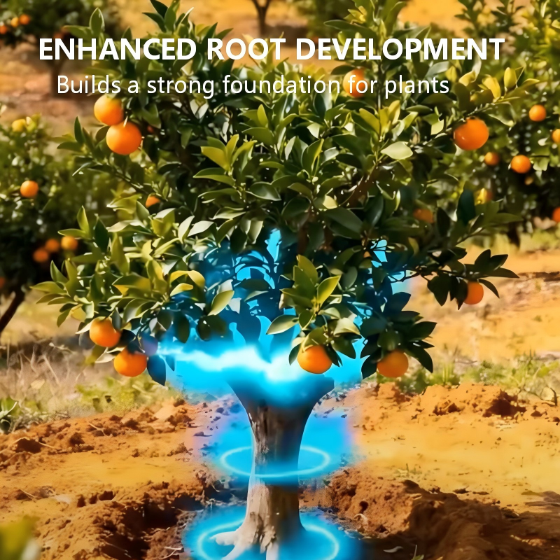 Engrais à libération contrôlée pour fruits