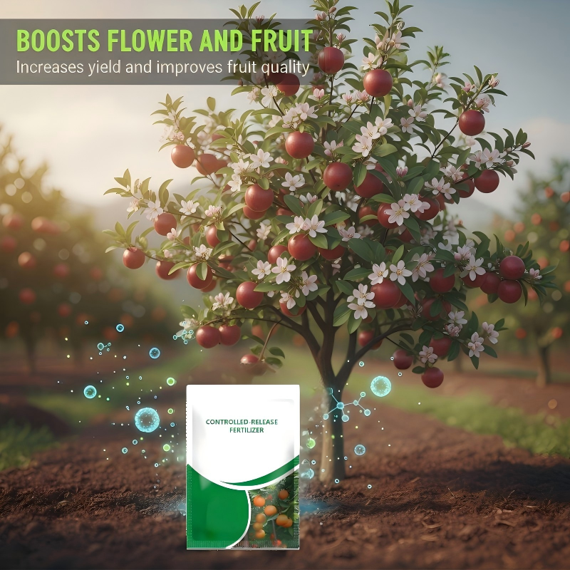 Engrais à libération contrôlée pour fruits