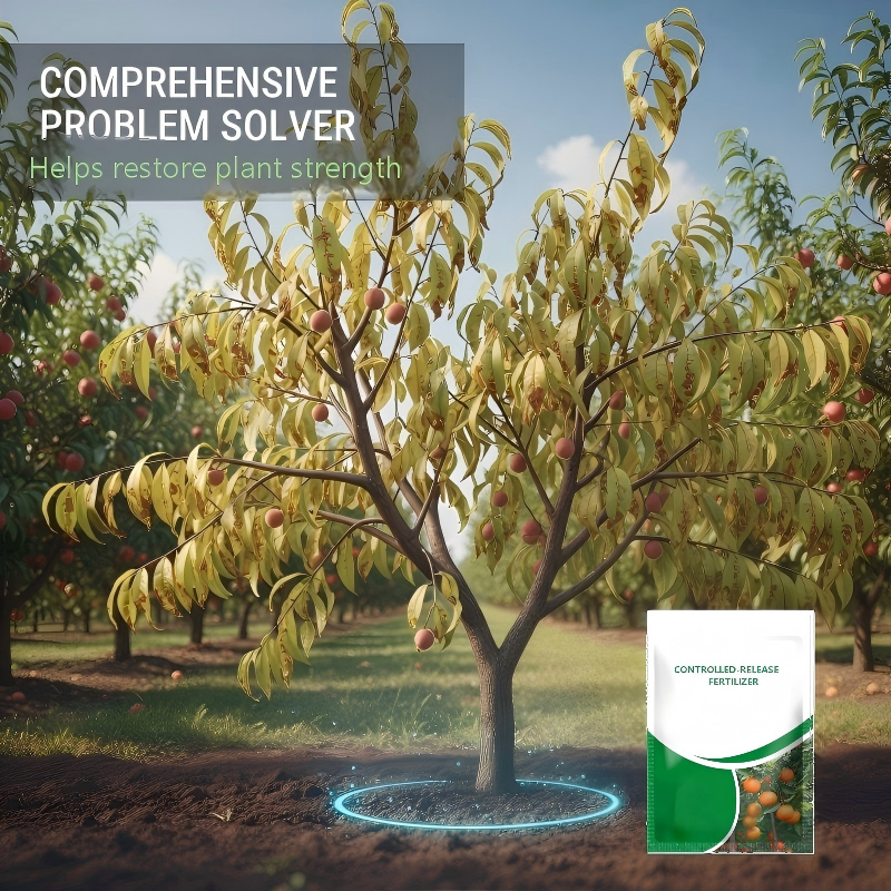 Engrais à libération contrôlée pour fruits
