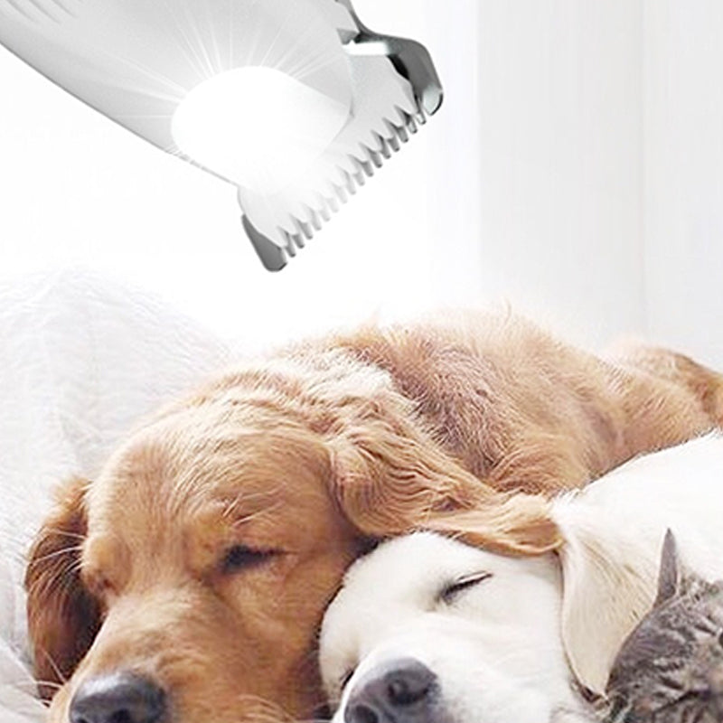 Rasoir électrique efficace et sûr pour animaux domestiques avec lumière LED