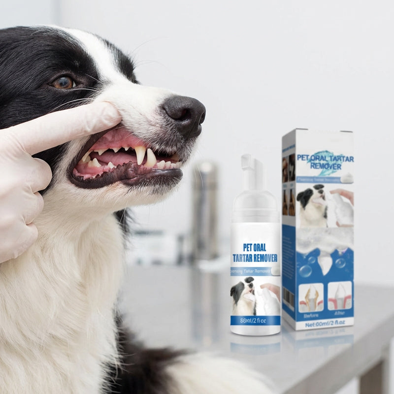 Mousse détartrante pour l'hygiène bucco-dentaire des animaux