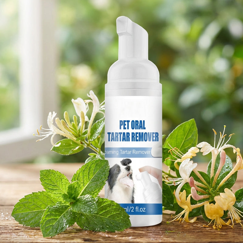 Mousse détartrante pour l'hygiène bucco-dentaire des animaux