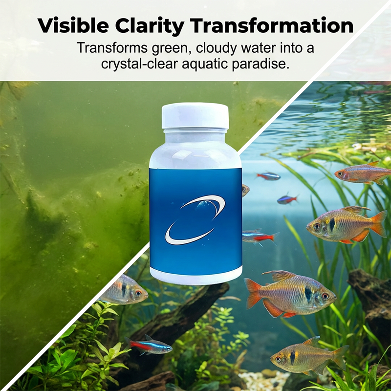 Comprimés effervescents pour purificateur d'eau d'aquarium et de bassin