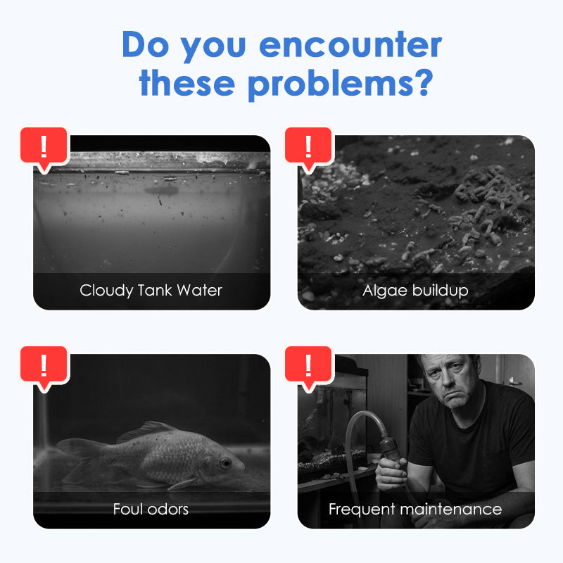 Comprimés effervescents pour purificateur d'eau d'aquarium et de bassin