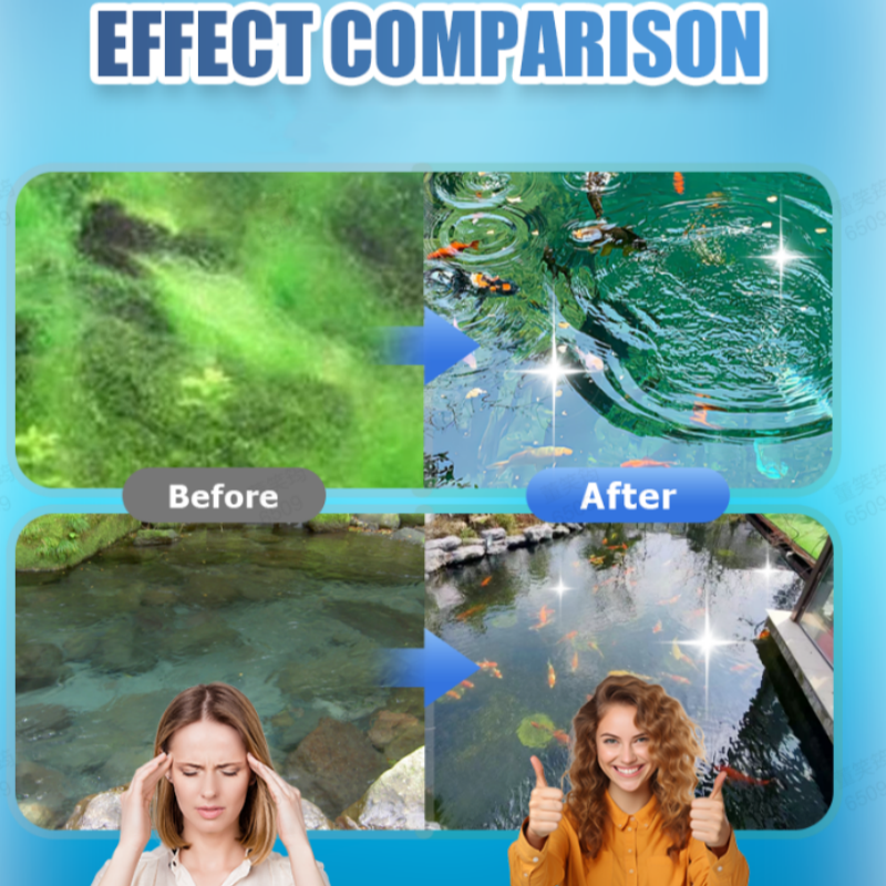 Comprimés effervescents pour purificateur d'eau d'aquarium et de bassin