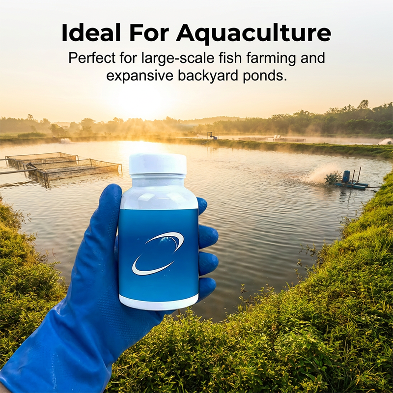 Comprimés effervescents pour purificateur d'eau d'aquarium et de bassin