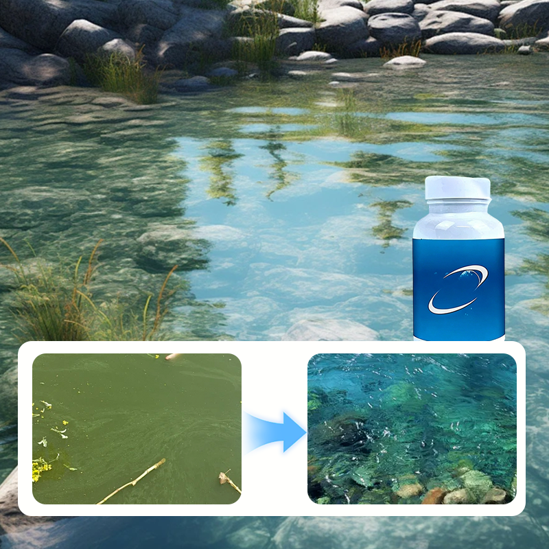 Comprimés effervescents pour purificateur d'eau d'aquarium et de bassin