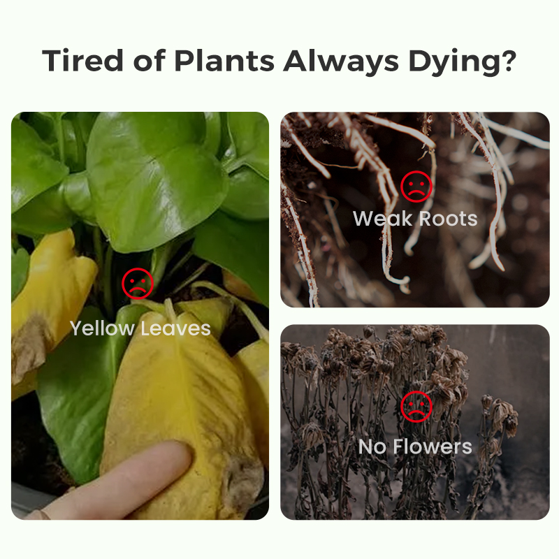 Revitalizing solution for orchards and greenhouses