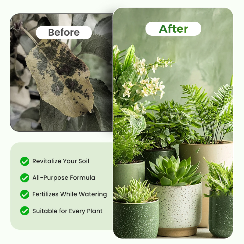 Revitalizing solution for orchards and greenhouses